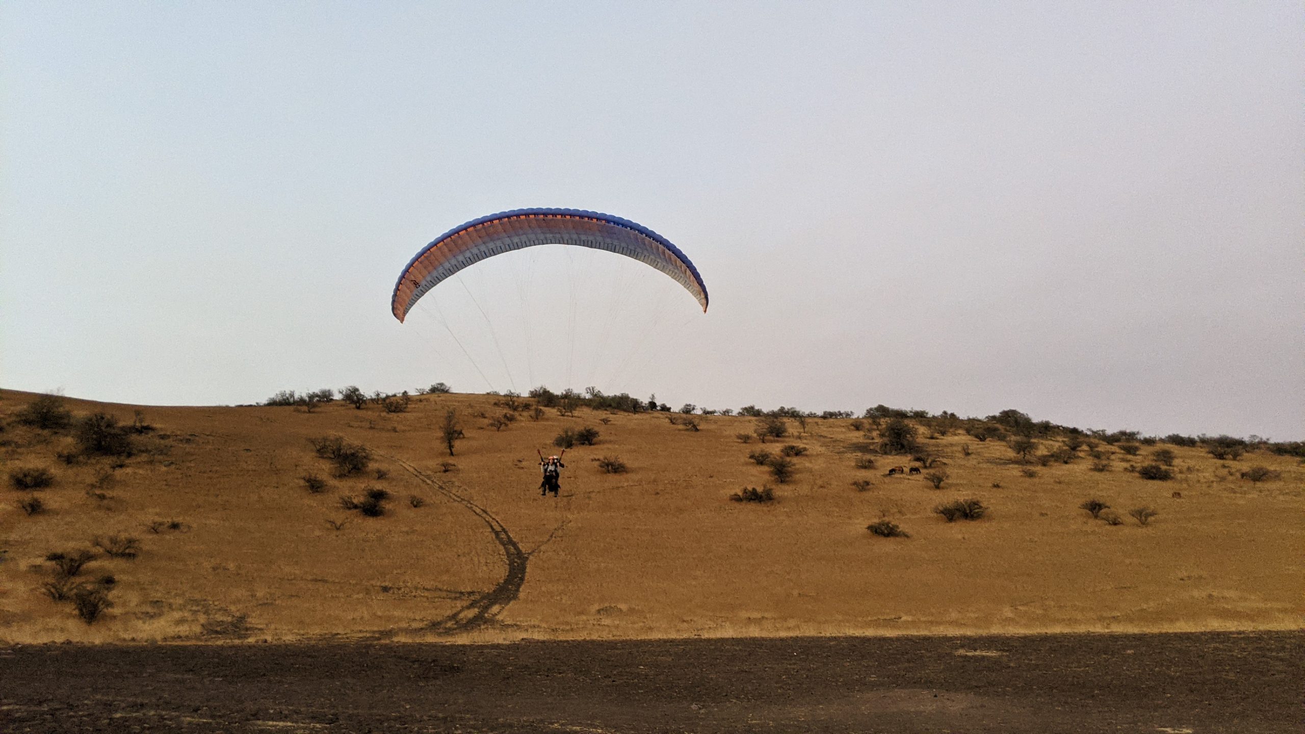 Crafting Captivating Headlines: Your awesome post title goes here